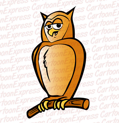 owl